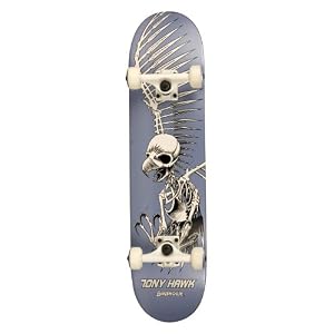 Birdhouse Titanium Series Full Skull Complete Skateboard by
