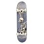 Birdhouse Titanium Series Full Skull Complete Skateboard