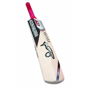 Expensive Cricket Bat