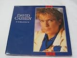 Romance  [VINYL]