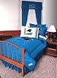 Carolina Panthers Mesh Bedroom Window Drapes (82x84) NFL
