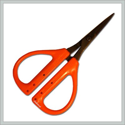 Bonsai Tree Tool - Bonsai Shear with Plastic Handle - By joebonsai