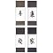 Chinese Scroll Painting Collection