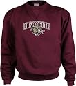 Lafayette Leopards Perennial Crewneck Sweatshirt