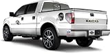 NFL Baltimore Ravens Skinit Car Decals
