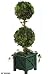 Ivy Multicolor ball Topiary, DOUBLE 39"H, GREEN WOOD BASE