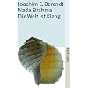 Nada Brahma: Die Welt ist Klang (suhrkamp taschenbuch)
