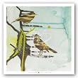 Chit, Chat, Chirp by Gina Miller 18"x18" Art Print Poster