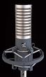 SE Electronics R1-RIBBON R1 Dynamic Ribbon Mic w/shockmount
