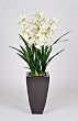 Artificial 46" Cream Cymbidium Orchid in Zinc Planter
