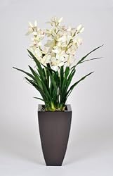 Artificial 46" Cream Cymbidium Orchid in Zinc Planter