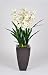Artificial 46" Cream Cymbidium Orchid in Zinc Planter