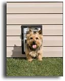 Petsafe Wall Entry Aluminum Door, Small