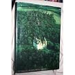 France: The Beautiful Cookbook- Authentic Recipes from the Regions of France