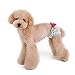 PanDaDa Puppy Pet Dog Flower Sanitary Panty Pant Lace Diaper Underwear Green X-Small