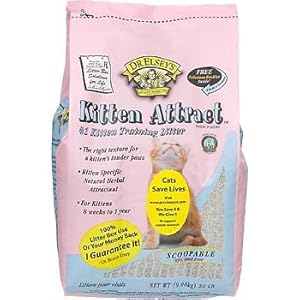 Precious Cat Kitten Attract Kitten Training Litter