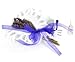 Pelindaba Lavender Organic Lavender Tussie Mussie - Dried Lavender Flower