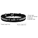 (Upgrade 2 Pack) Kamor #11 Running Belts / Runner's Race Belt / Fitness Workout Belt / Sport Waist Pack / Waist Pouch / Exercise Waist Bag for Apple iPhone 6, 6 plus, 5, 5s, 5c, Samsung during Race, Hiking, Walking, Cycling