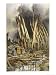 Devastated Trees at the French Front Line at Het-Sas Yser Art Styles Giclee Poster Print by Francois Flameng, 18x24