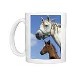 Arab Horse and Colt Photo Mugs