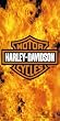 Harley Davidson Fire Inferno Beach/Bath Towel #50