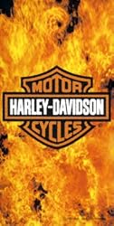 Harley Davidson Fire Inferno Beach/Bath Towel #50
