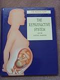 The reproductive system