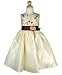 Sleeveless taffeta dress with delicate embroidery on the bodice, christmas holiday dress