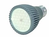 KolourOne S8885 Dimmable 7-Watt 30-Degree 2700K 120-Volt 290 Lumens LED PAR20 Light, Gray