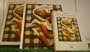 American Cooking : Southern Style
