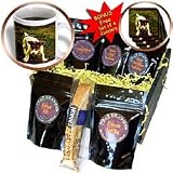 Dogs Jack Russell Terrier - Jack Russell Terrier - Coffee Gift Baskets - Coffee Gift Basket