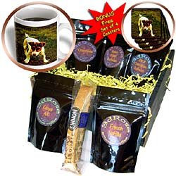 Dogs Jack Russell Terrier - Jack Russell Terrier - Coffee Gift Baskets - Coffee Gift... by Decaf Espresso Roast