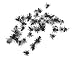 FISTFUL OF FLIES