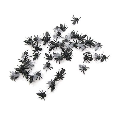 Flies