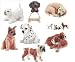 Start a Canine Collection