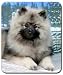 Keeshond Mousepad
