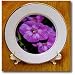 Garden Laura Phlox Flowers Dark Pink Flowers - 8 Inch Porcelain Plate