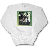 Florida Green Eyed Panther - Adult SweatShirt 4XL