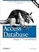 Access Database Design & Programming (3rd Edition)