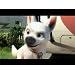 Product Video: Bolt-Trailer
