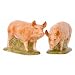from Quail Quail Ceramics - Tamworth Pig Salt And Pepper Pots Model 465