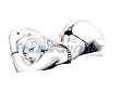 Whitney Art Print Giclee' by Dirk Richter