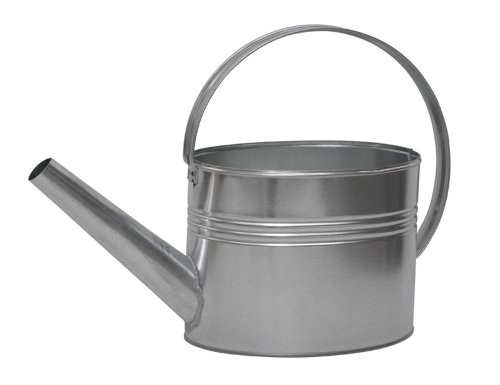 Siena Garden 505938 Gie&szlig;kanne bepflanzbar 7l verzinkt
