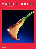 Mapplethorpe 2009 Super Poster Calendar