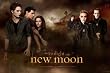 The Twilight Saga: New Moon Movie (Both Sides) Poster Print - 36x24
