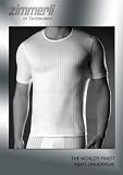 Zimmerli Urban Chic Crew Shirt