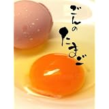 純系名古屋コーチン / ごんのたまご 30個・化粧箱入り