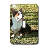 Dogs Welsh Cardigan Corgi - Welsh Cardigan Corgi - Light Switch Covers - single toggle switch