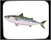Decorated Mouse Pad with fish, mackerel, makrill, animal