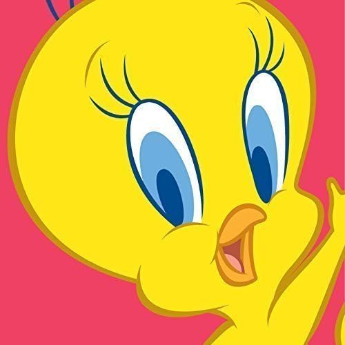 DIY Paint by Number Kit On Canvas 10x10 inch Licensed Warner Bros-Looney tunes-Tweety